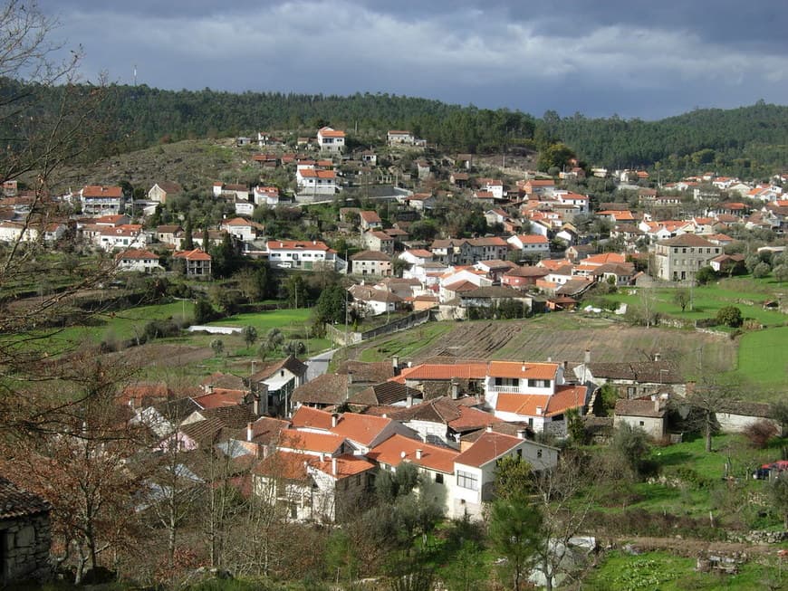 Place Carregal do Sal