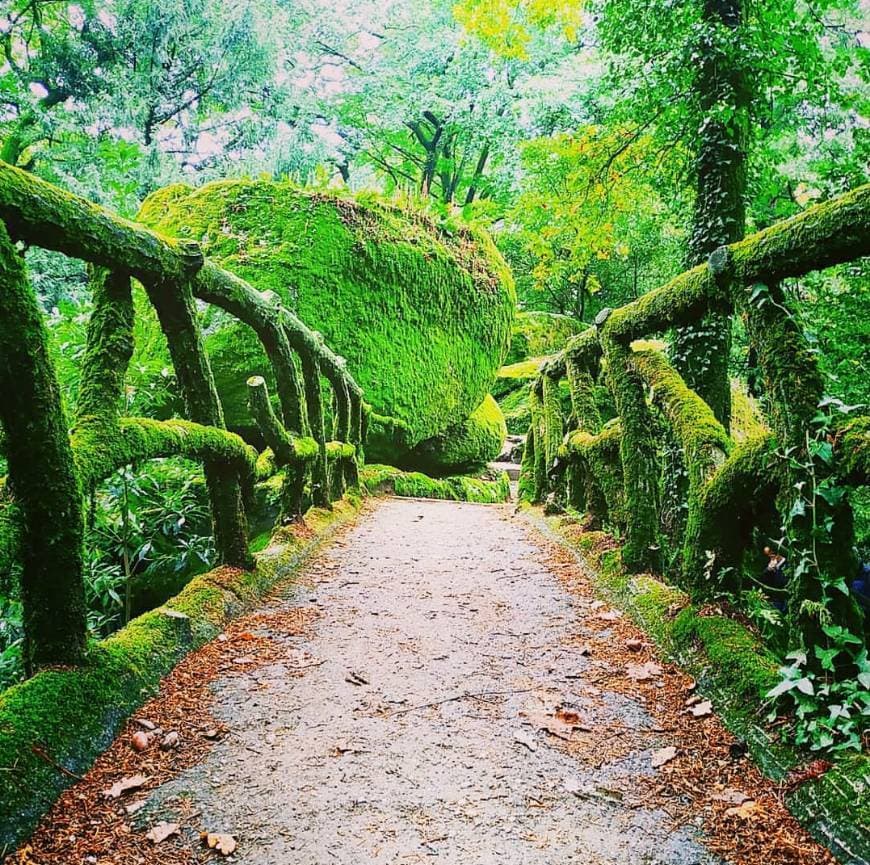 Place Bom Jesus do Monte