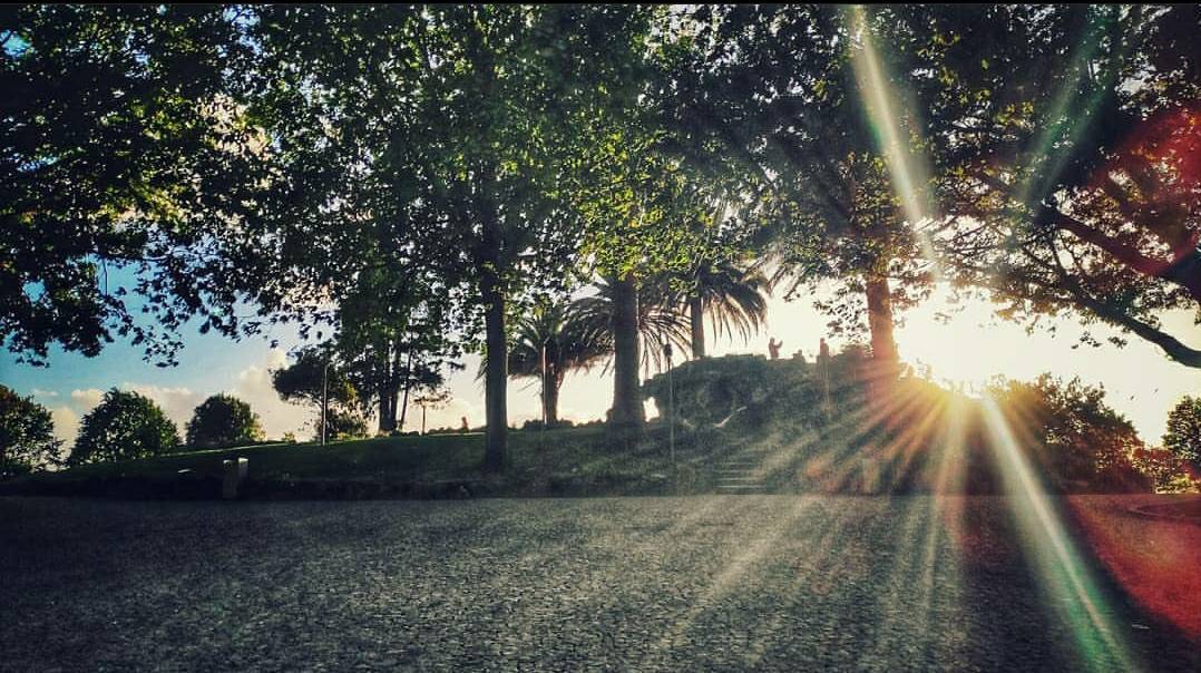 Place Jardim do Morro