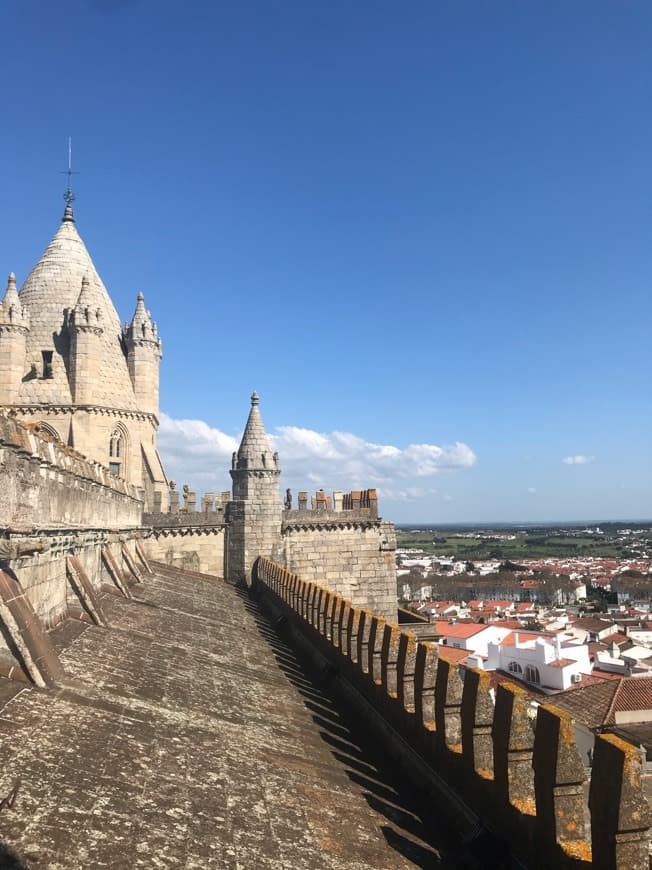 Lugar Catedral de Évora