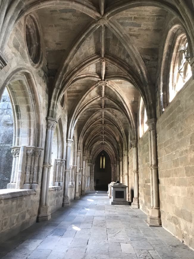 Lugar Claustro de la Catedral