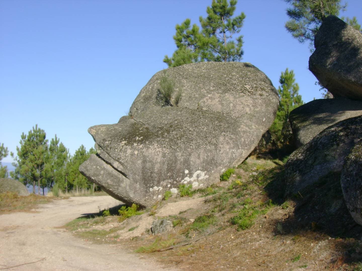 Place Cabeca Da Velha