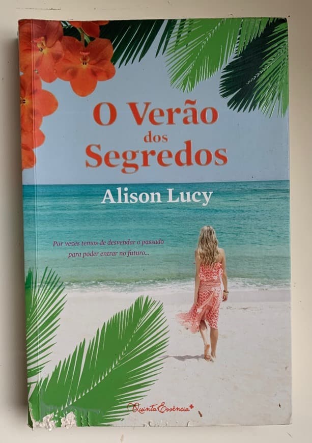 Libro O verão dos segredos