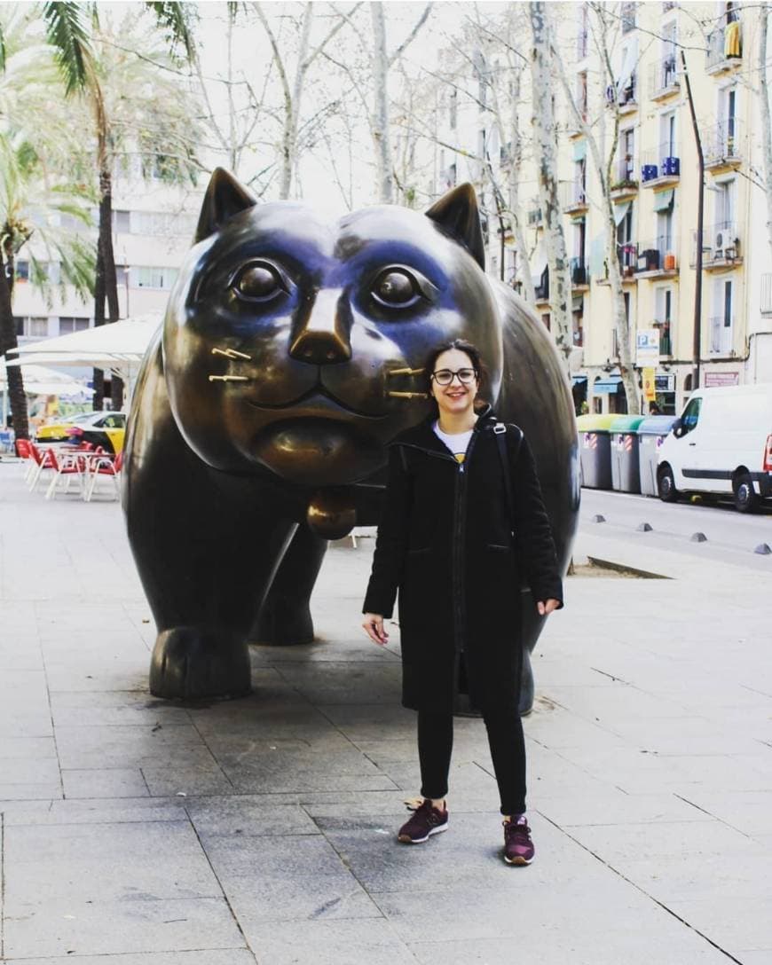 Lugar El Gato de Botero