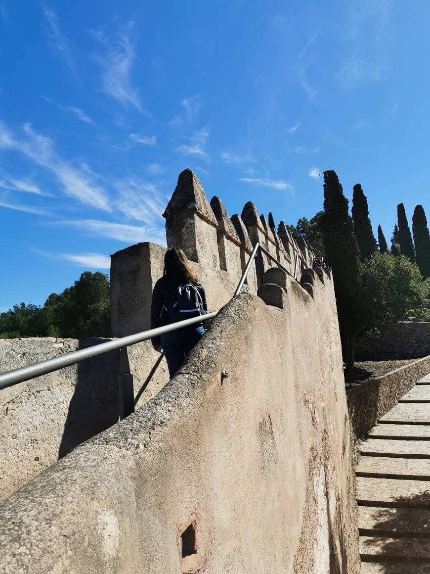 Place Castillo de Gibralfaro