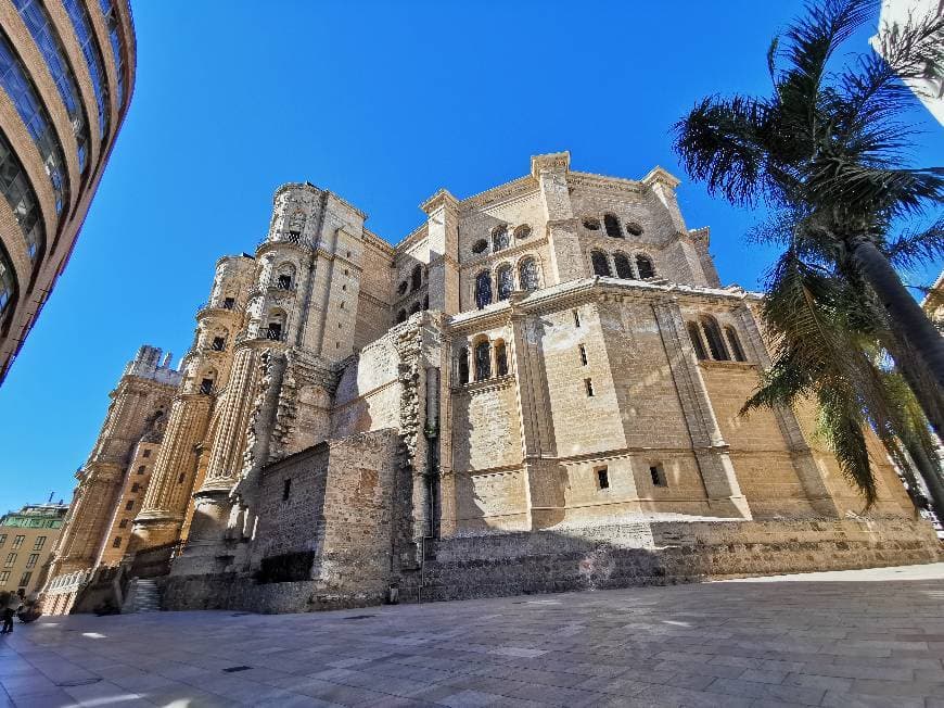 Place Catedral Malaga