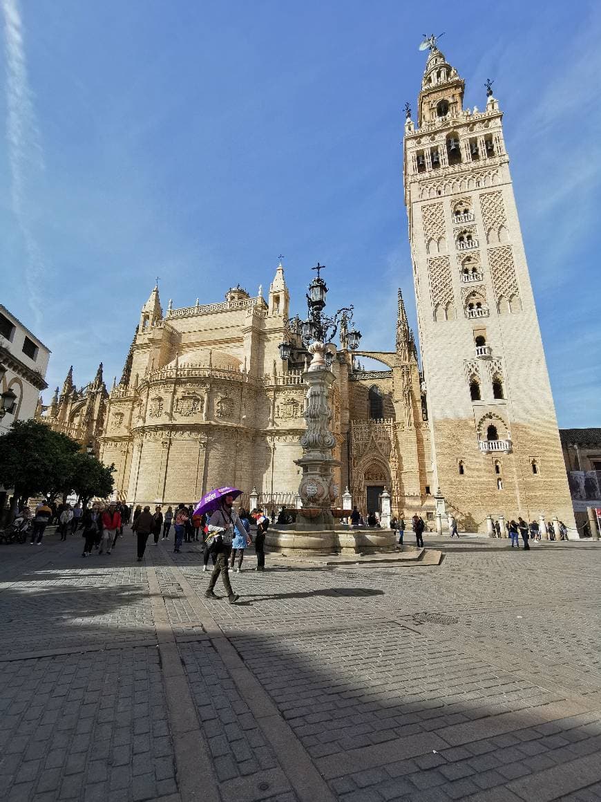 Lugar Catedral de Sevilha