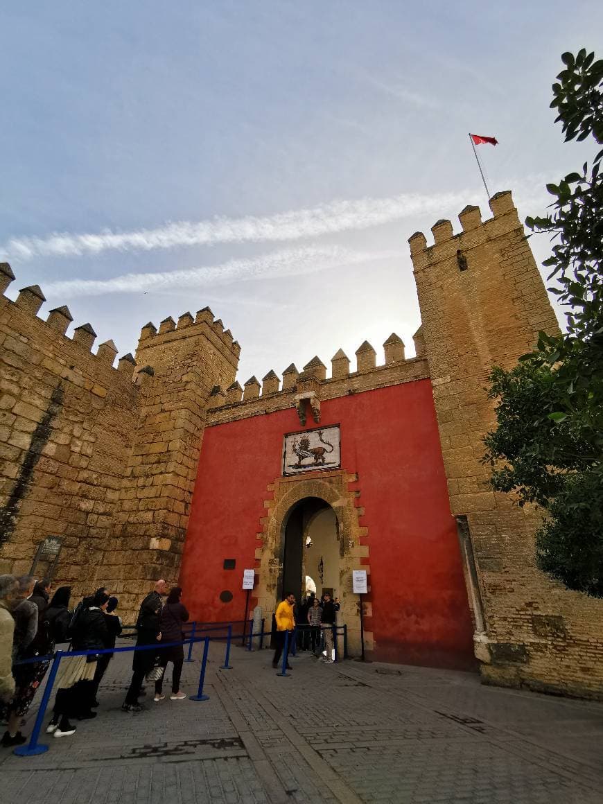 Place Real Alcázar de Sevilla