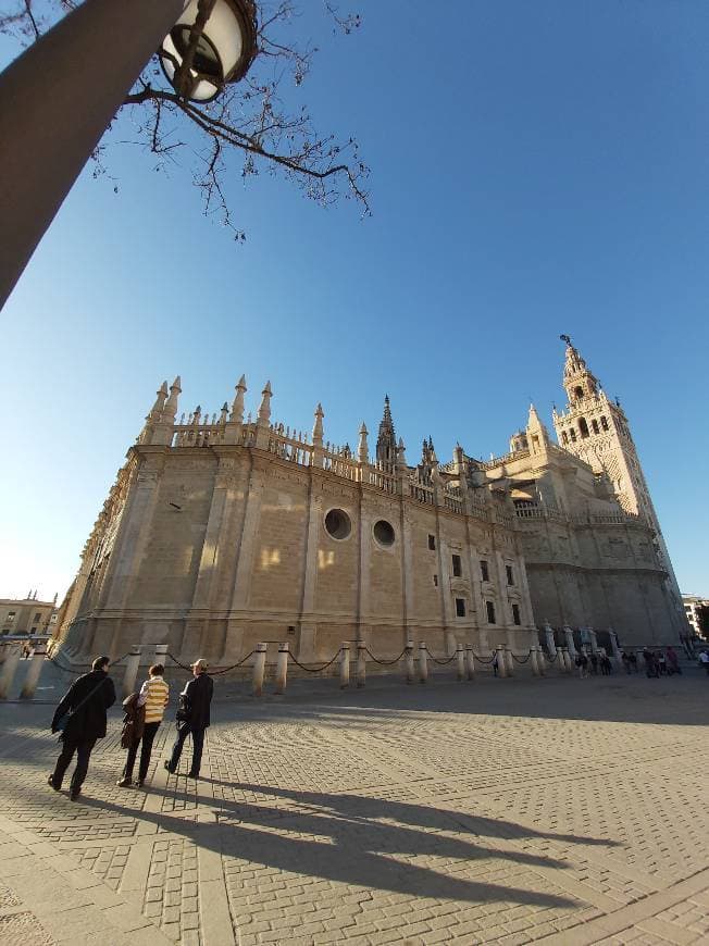 Lugar Catedral de Sevilla