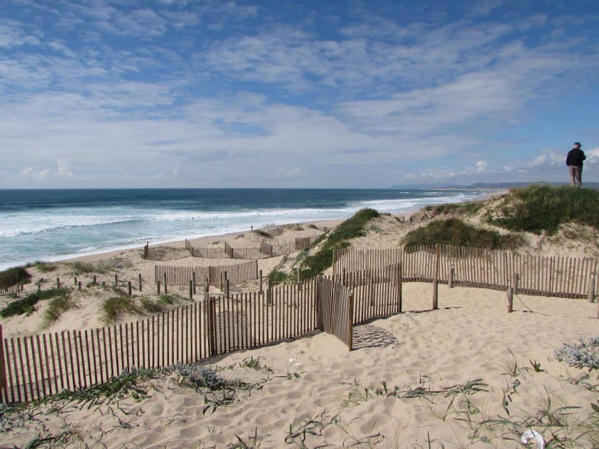 Lugar Aguçadoura Beach