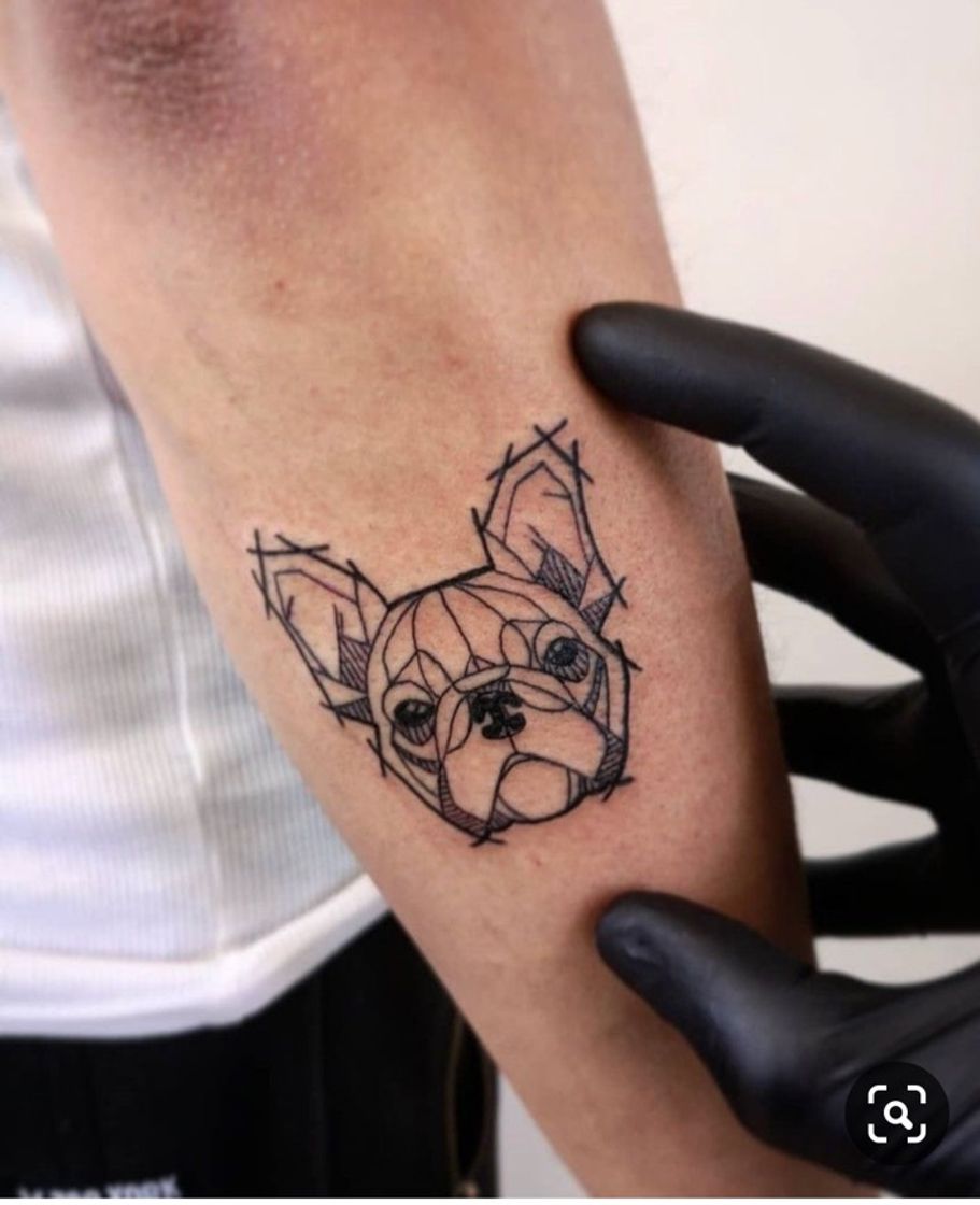 Moda Tatto pet 