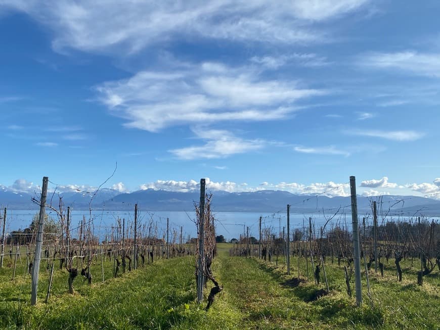 Lugar Genève-Plage