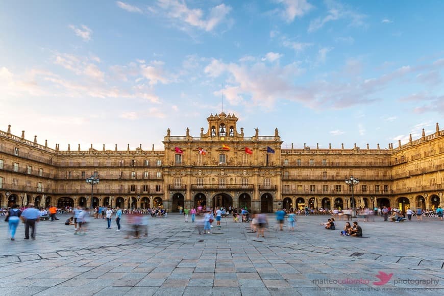 Place Plaza Mayor