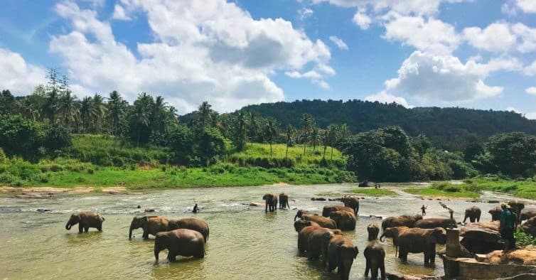 Lugar Sri Lanka