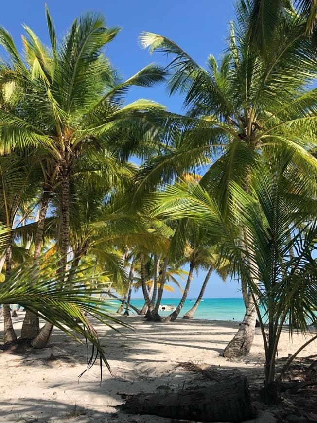 Lugar Isla Saona