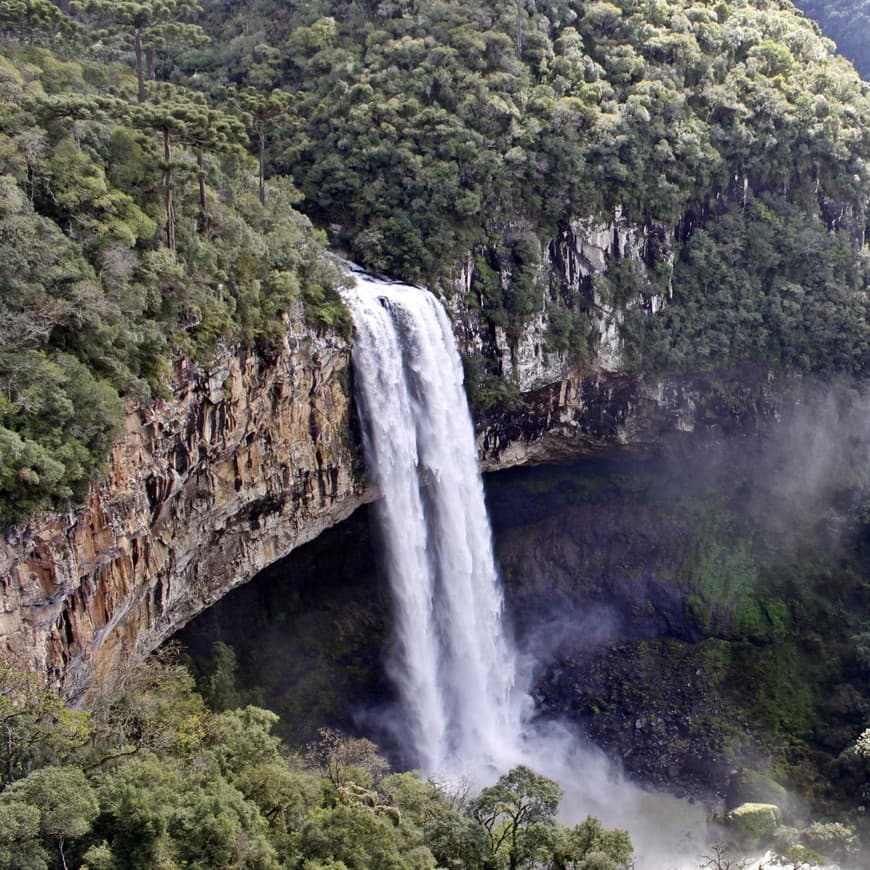 Lugar Cascata do Caracol