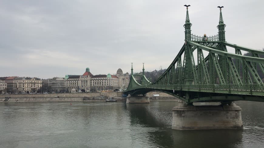 Lugar Puente de la Libertad