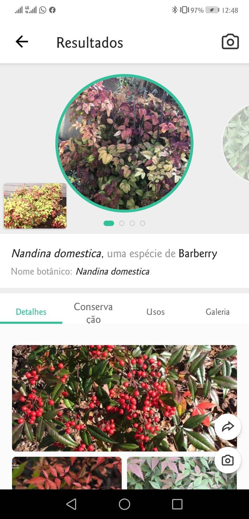 App PictureThis - Plant Identifier