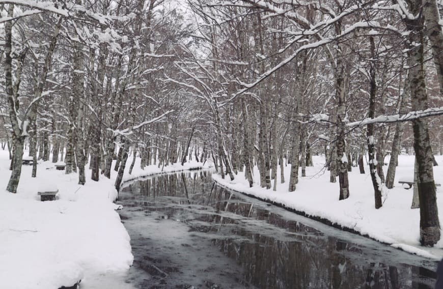 Lugar Serra da Estrela