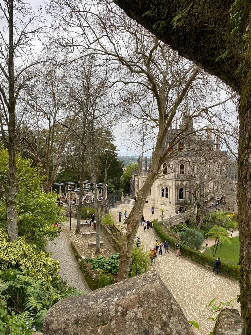 Place Quinta da Regaleira