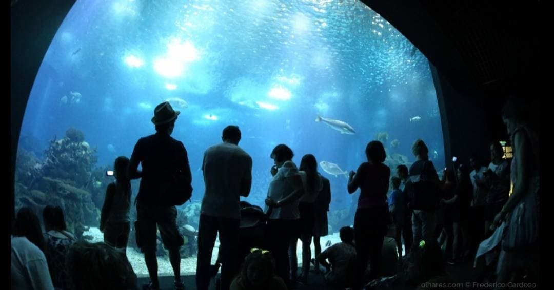 Place Oceanário de Lisboa