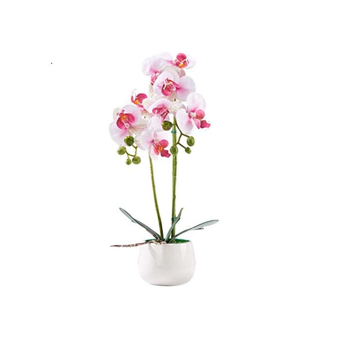 Product Alicemall 33cm Flor Artificial orquídea de Seda Phalaenopsis en Maceta