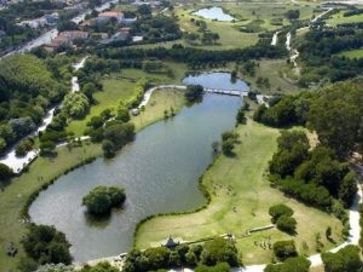 Place Parque da Cidade