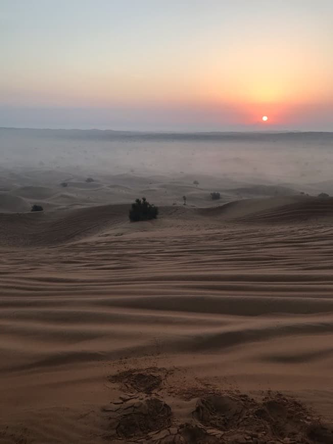 Lugar Desert Safari Dubai