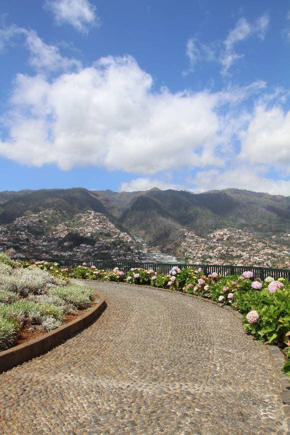 Place Pico dos Barcelos Lookout