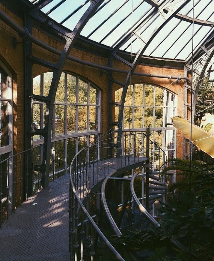 Place Hortus Botanicus Amsterdam