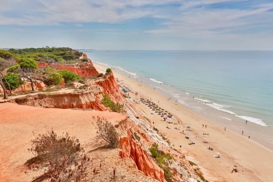 Moda PRAIA DA FALÉSIA