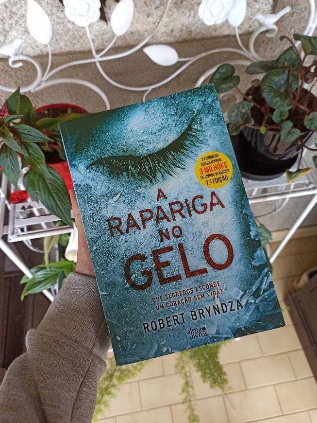 Book A Rapariga no Gelo