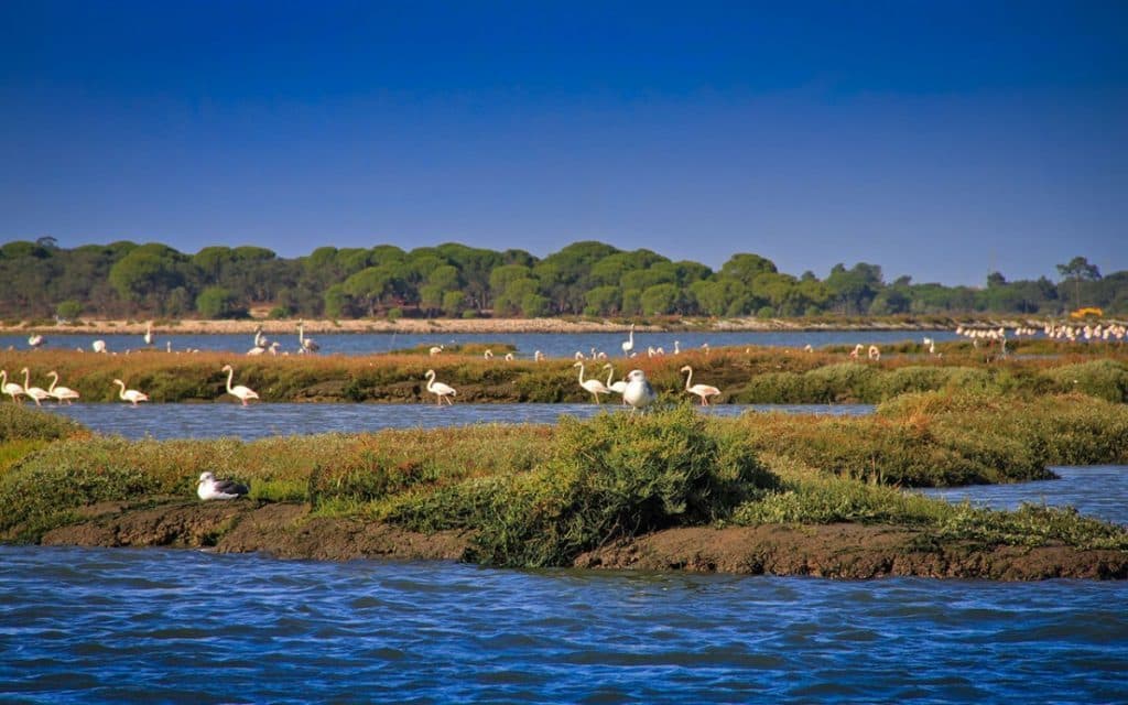 Place Reserva natural del Estuario del Sado