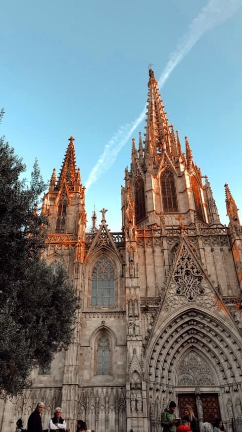 Place Catedral de Barcelona