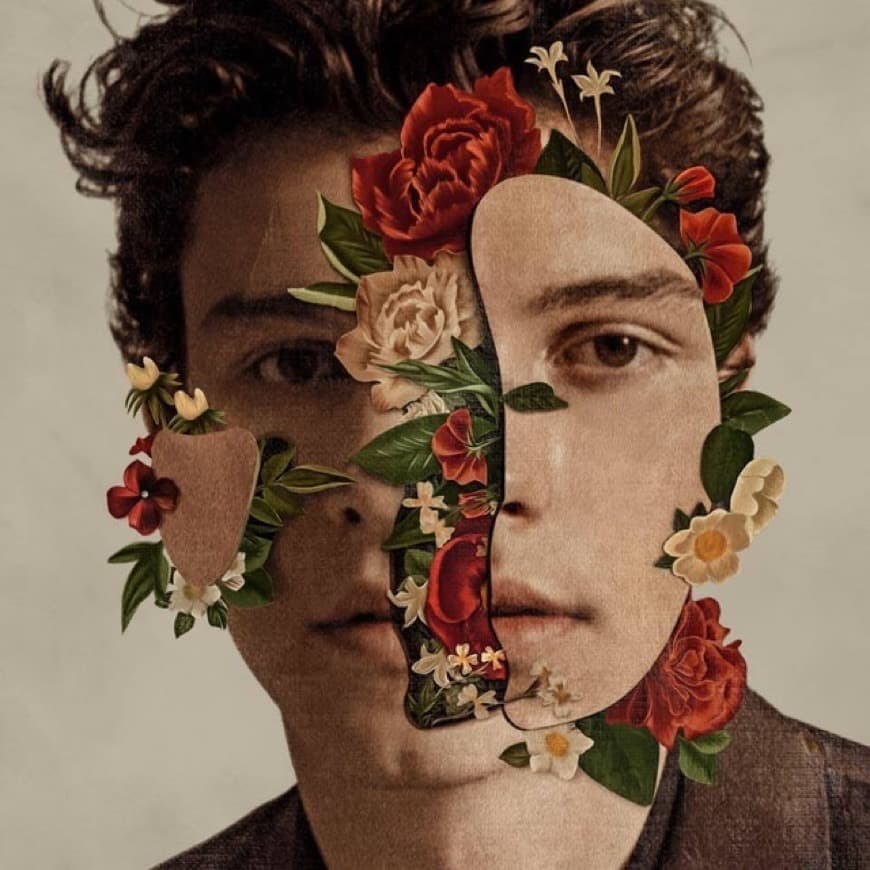 Music Shawn Mendes