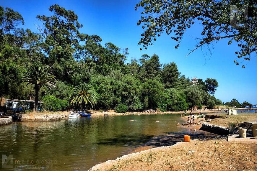 Lugar Parque de Merendas da Comenda