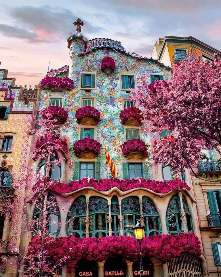 Place Casa Batlló