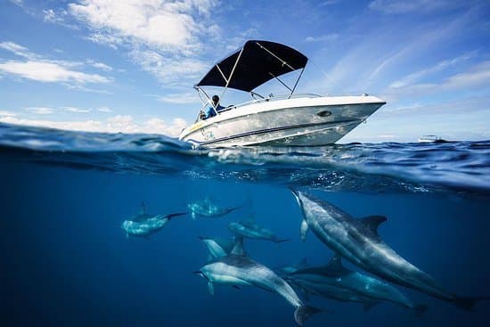 Lugar Vitamin Sea Ltd - Your ocean guide & photographer in Mauritius