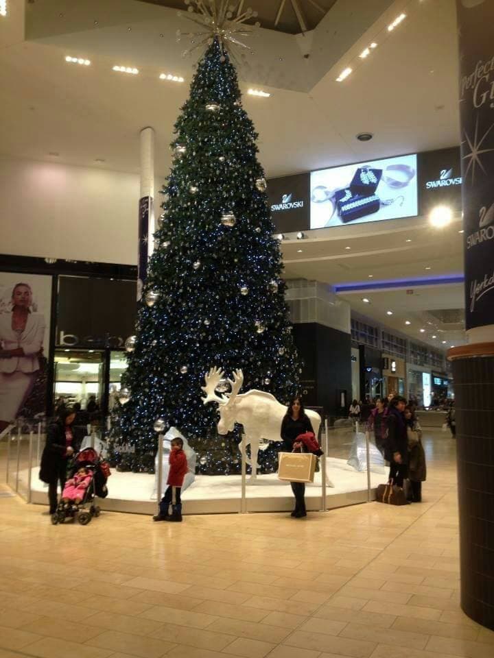 Lugar Yorkdale