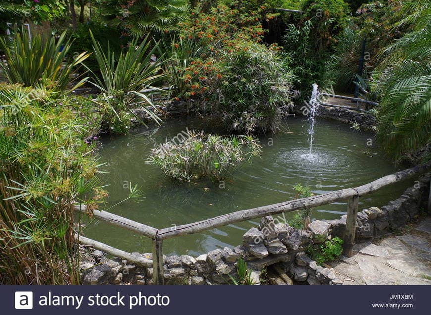 Place Parque da Fonte Lima