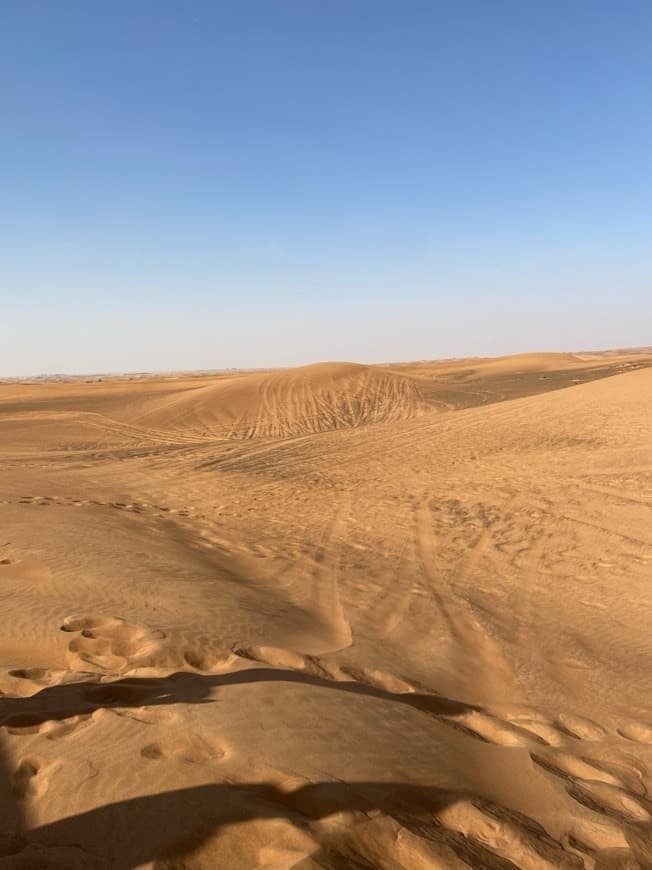 Lugar Arabian Desert