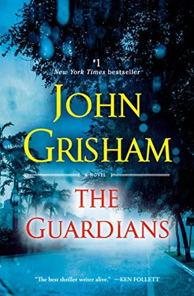 Book The Guardians: A Novel