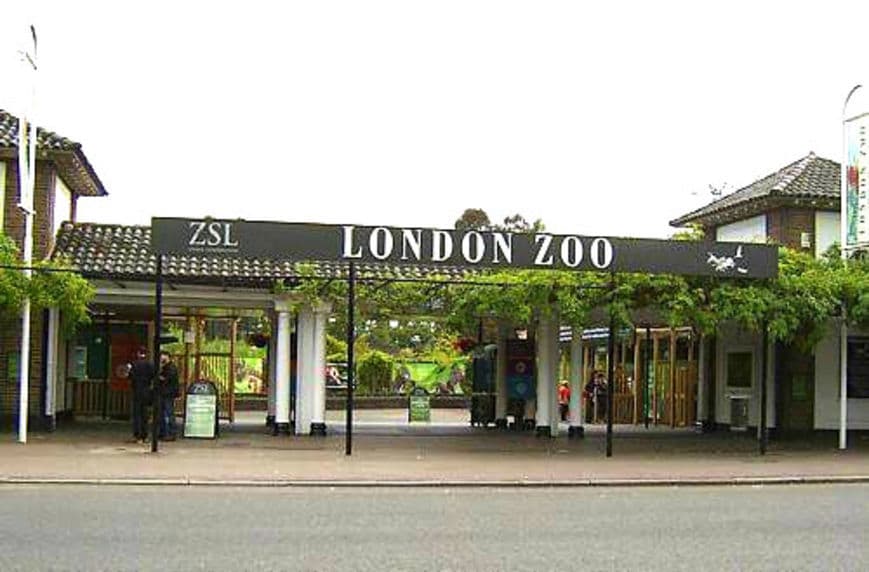 Place London Zoo