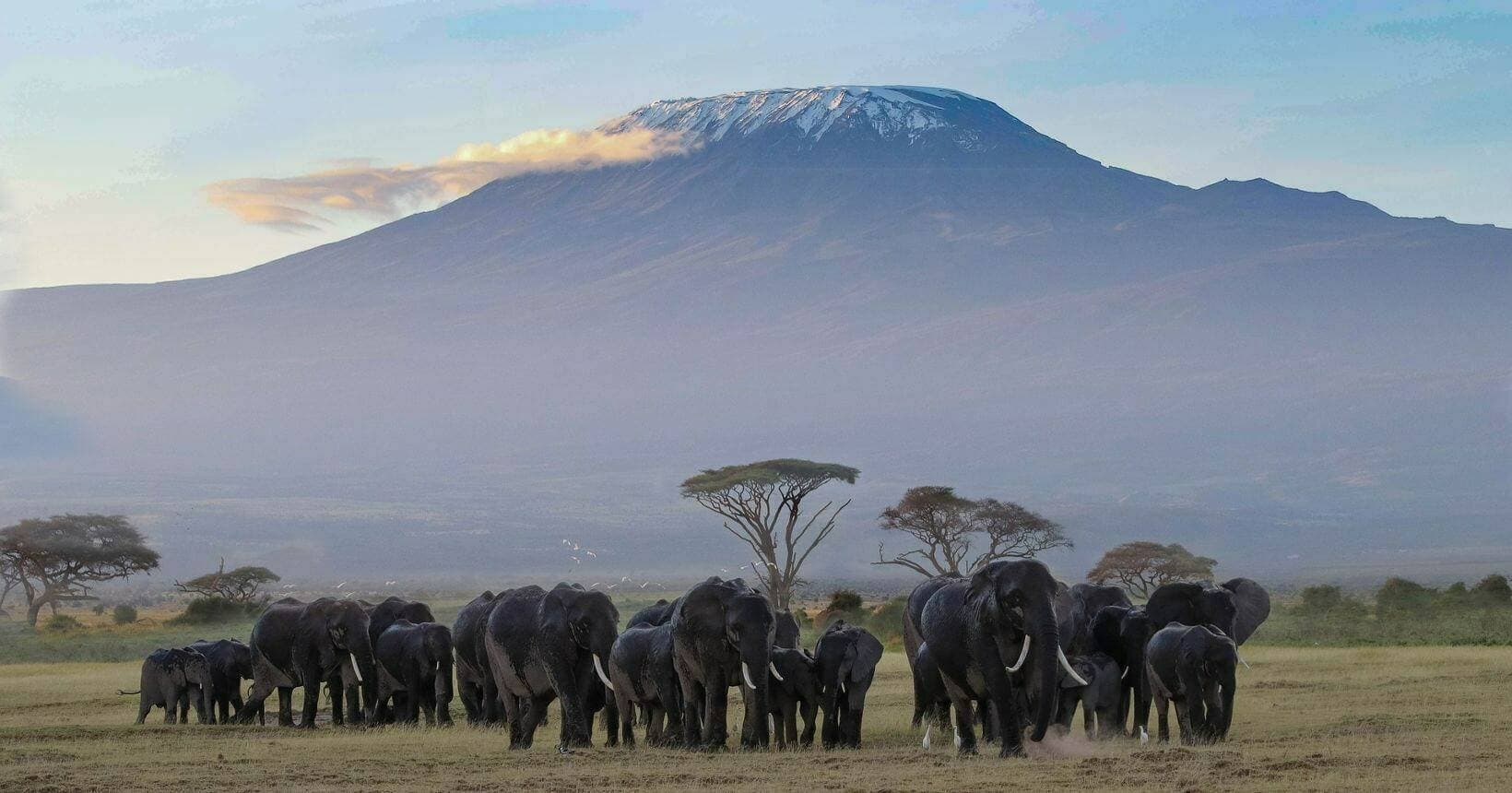 Place Kilimanjaro