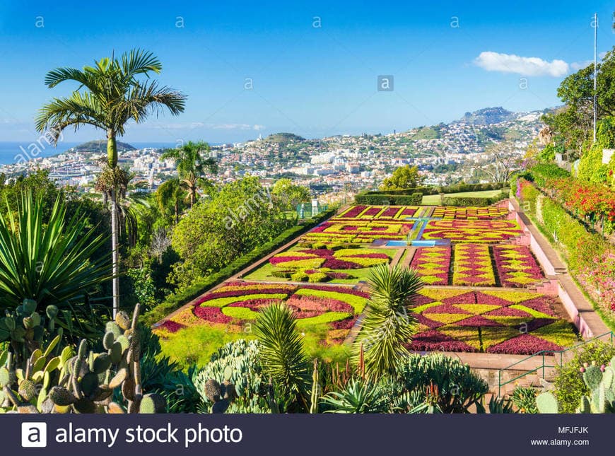 Place Jardín Botánico de Madeira