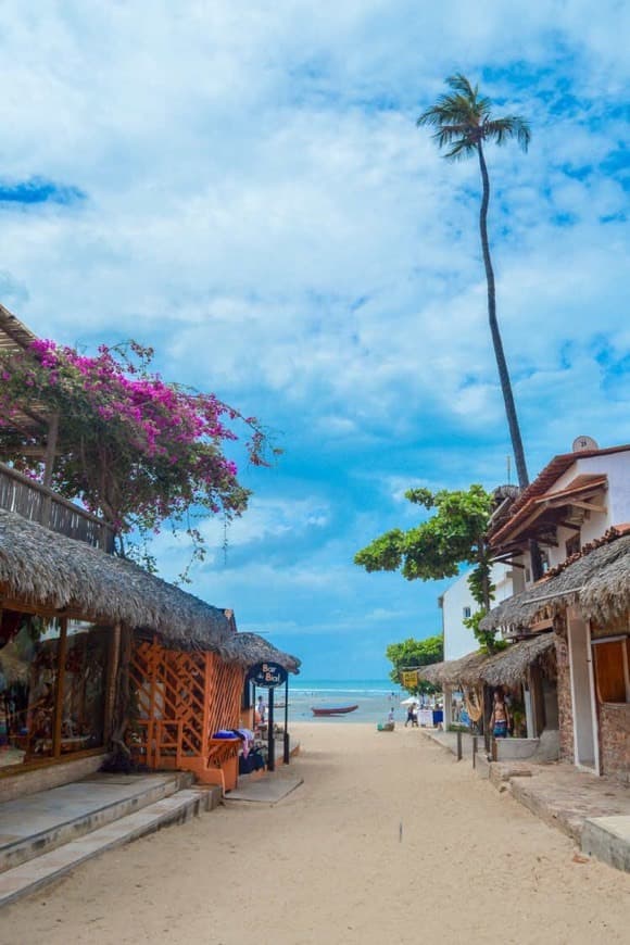 Place Jericoacoara