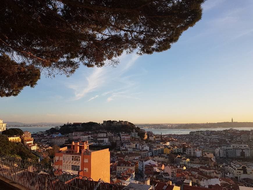 Lugar Miradouro da Nossa Senhora do Monte