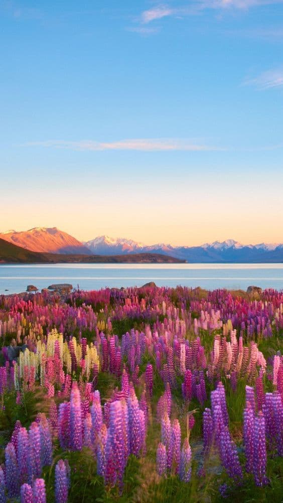 Lugar Lake Tekapo