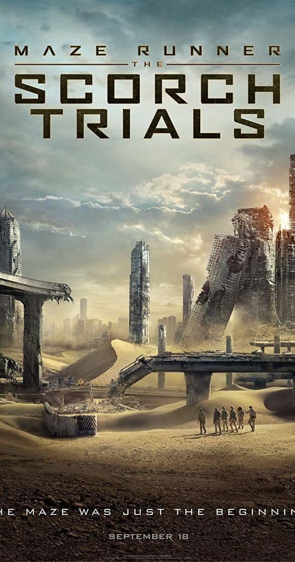 Book Maze Runner