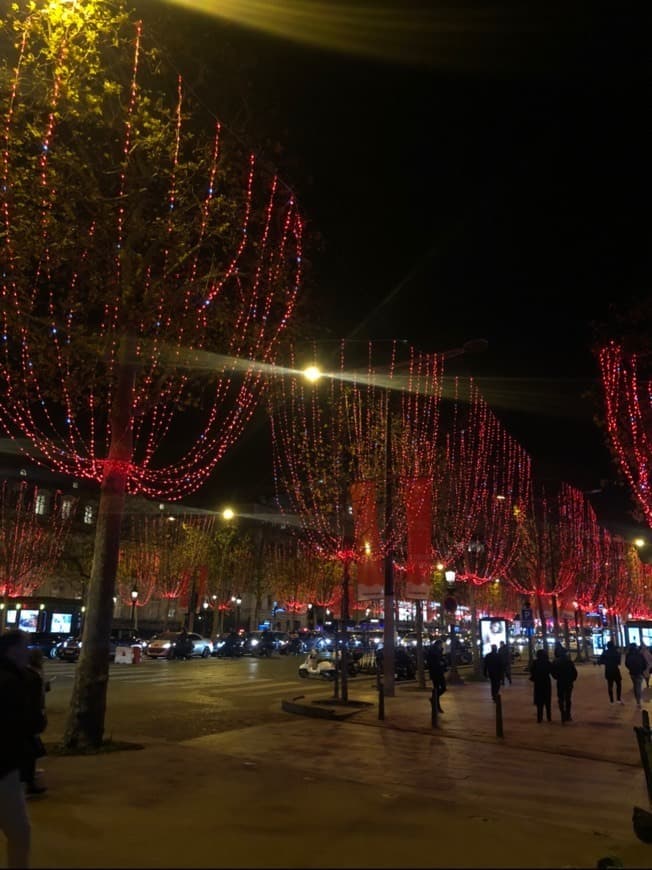 Place Champs Elysees